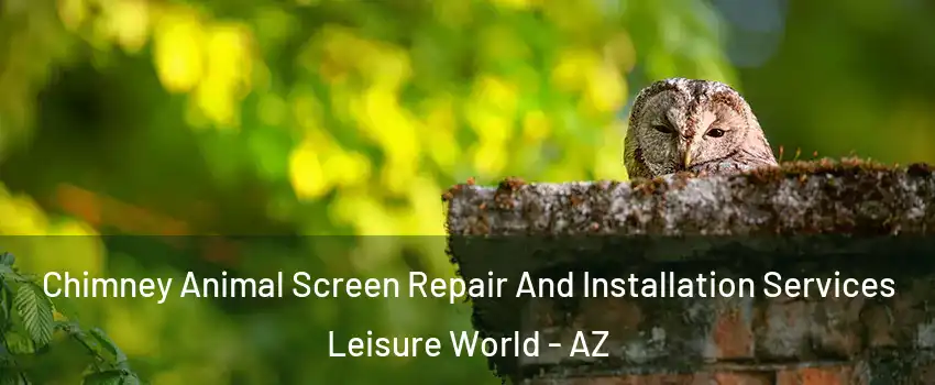 Chimney Animal Screen Repair And Installation Services Leisure World - AZ