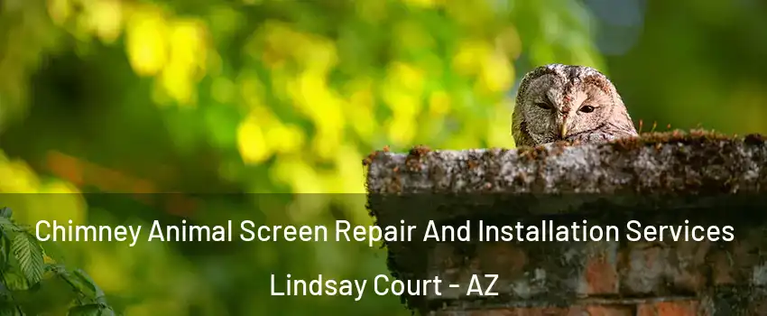 Chimney Animal Screen Repair And Installation Services Lindsay Court - AZ