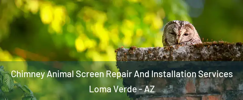 Chimney Animal Screen Repair And Installation Services Loma Verde - AZ