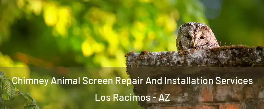 Chimney Animal Screen Repair And Installation Services Los Racimos - AZ