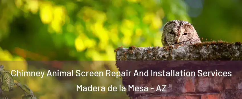 Chimney Animal Screen Repair And Installation Services Madera de la Mesa - AZ