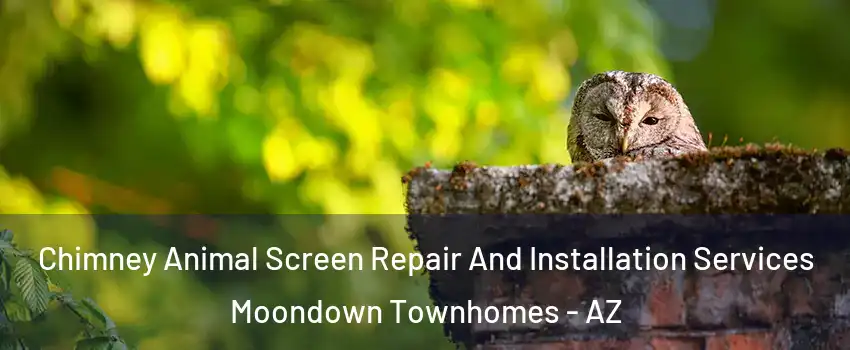 Chimney Animal Screen Repair And Installation Services Moondown Townhomes - AZ