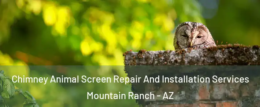 Chimney Animal Screen Repair And Installation Services Mountain Ranch - AZ