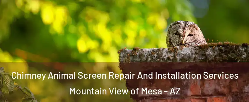 Chimney Animal Screen Repair And Installation Services Mountain View of Mesa - AZ