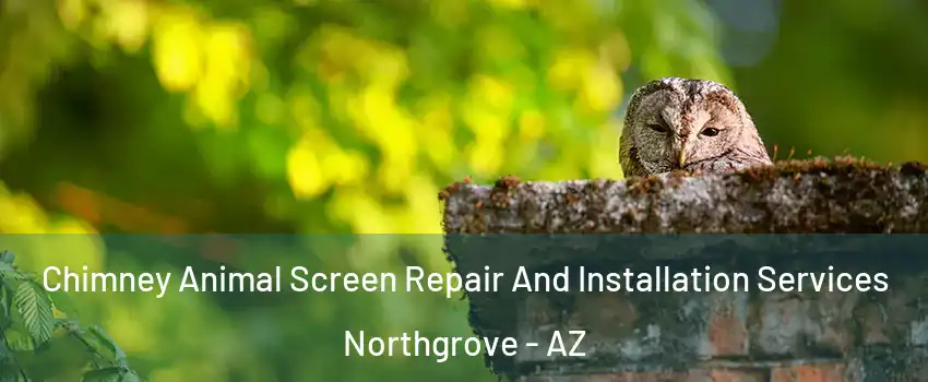Chimney Animal Screen Repair And Installation Services Northgrove - AZ