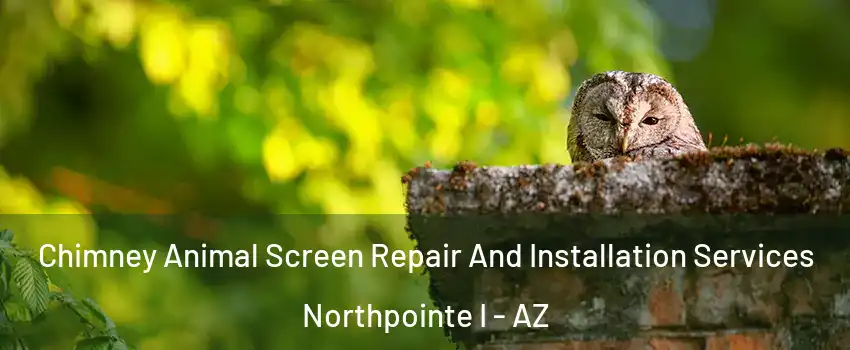 Chimney Animal Screen Repair And Installation Services Northpointe I - AZ