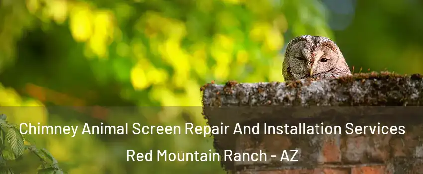 Chimney Animal Screen Repair And Installation Services Red Mountain Ranch - AZ