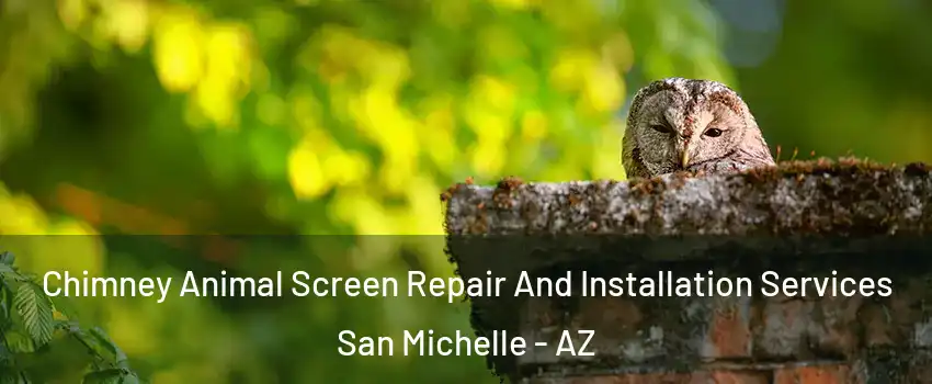 Chimney Animal Screen Repair And Installation Services San Michelle - AZ