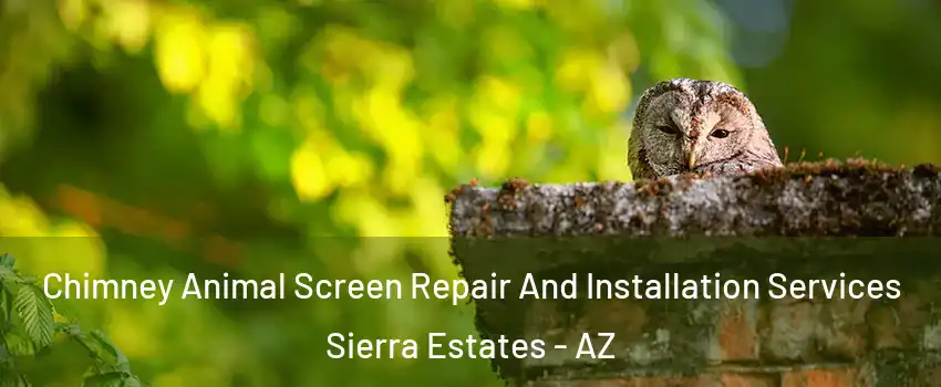 Chimney Animal Screen Repair And Installation Services Sierra Estates - AZ