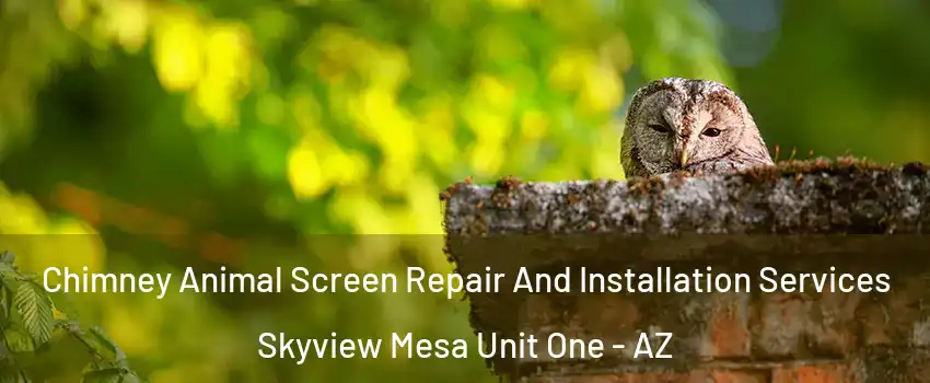 Chimney Animal Screen Repair And Installation Services Skyview Mesa Unit One - AZ