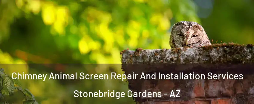 Chimney Animal Screen Repair And Installation Services Stonebridge Gardens - AZ