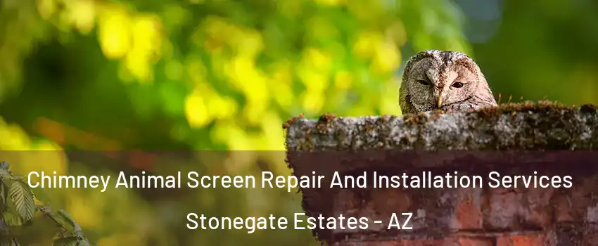 Chimney Animal Screen Repair And Installation Services Stonegate Estates - AZ