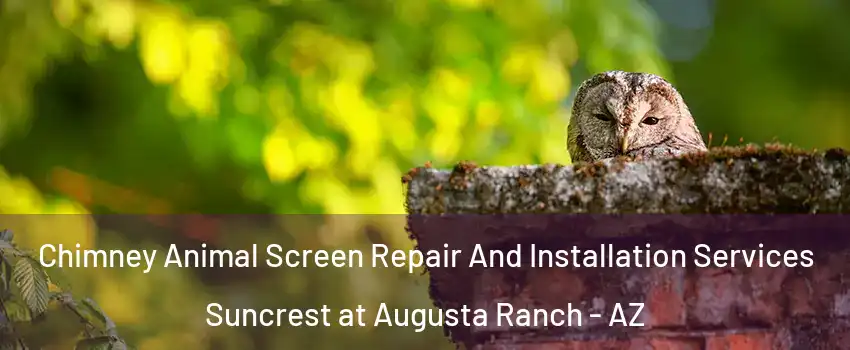 Chimney Animal Screen Repair And Installation Services Suncrest at Augusta Ranch - AZ