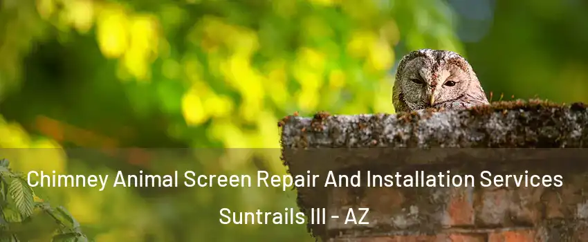 Chimney Animal Screen Repair And Installation Services Suntrails III - AZ