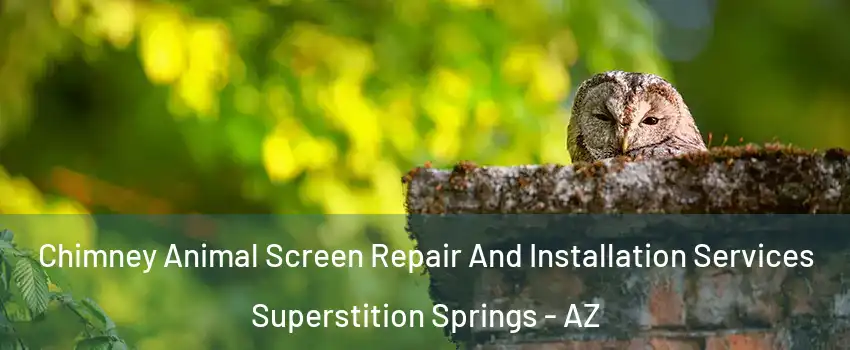 Chimney Animal Screen Repair And Installation Services Superstition Springs - AZ