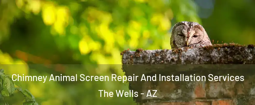 Chimney Animal Screen Repair And Installation Services The Wells - AZ