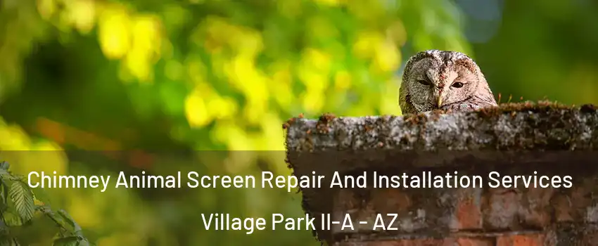 Chimney Animal Screen Repair And Installation Services Village Park II-A - AZ