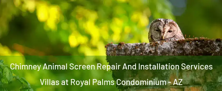 Chimney Animal Screen Repair And Installation Services Villas at Royal Palms Condominium - AZ