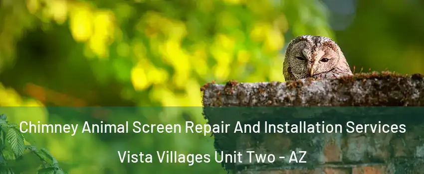 Chimney Animal Screen Repair And Installation Services Vista Villages Unit Two - AZ