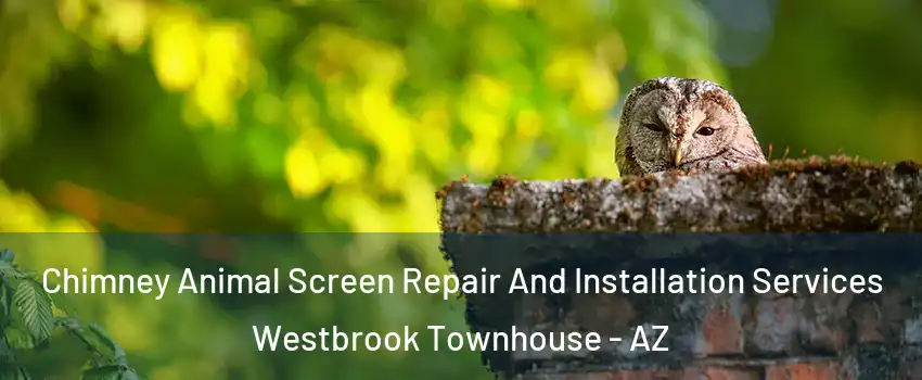 Chimney Animal Screen Repair And Installation Services Westbrook Townhouse - AZ