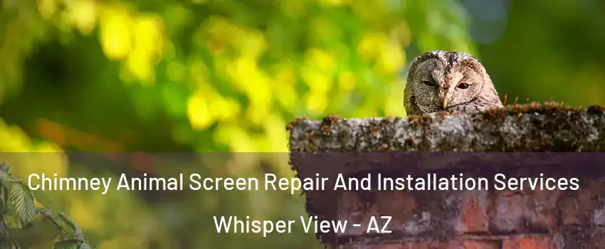 Chimney Animal Screen Repair And Installation Services Whisper View - AZ