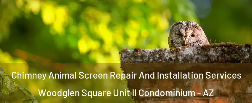 Chimney Animal Screen Repair And Installation Services Woodglen Square Unit II Condominium - AZ