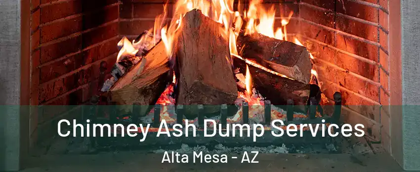 Chimney Ash Dump Services Alta Mesa - AZ