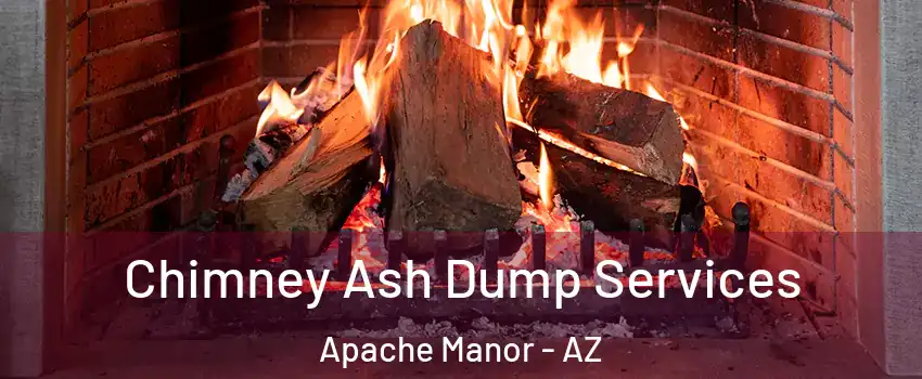 Chimney Ash Dump Services Apache Manor - AZ