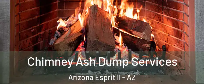 Chimney Ash Dump Services Arizona Esprit II - AZ