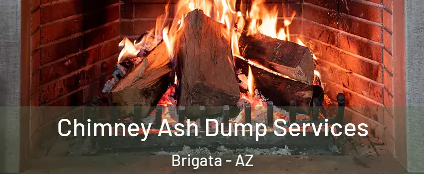 Chimney Ash Dump Services Brigata - AZ