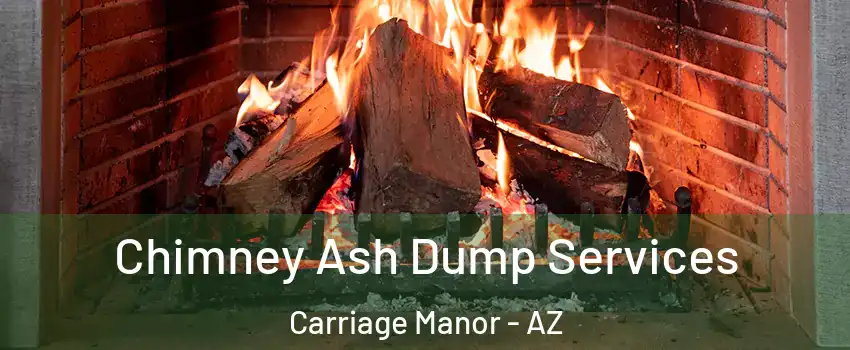 Chimney Ash Dump Services Carriage Manor - AZ