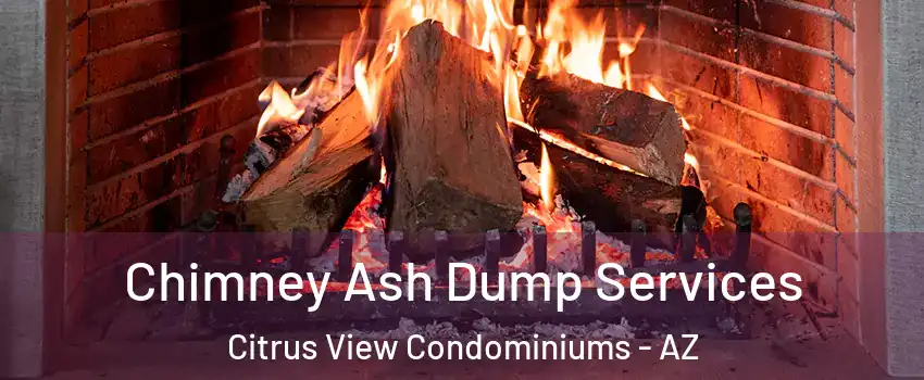Chimney Ash Dump Services Citrus View Condominiums - AZ