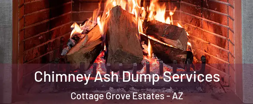 Chimney Ash Dump Services Cottage Grove Estates - AZ