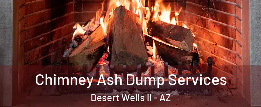 Chimney Ash Dump Services Desert Wells II - AZ