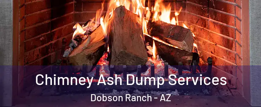 Chimney Ash Dump Services Dobson Ranch - AZ