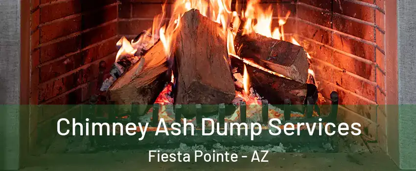 Chimney Ash Dump Services Fiesta Pointe - AZ