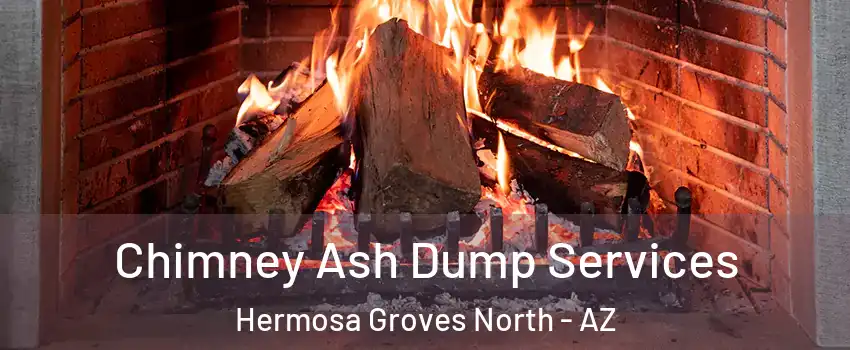 Chimney Ash Dump Services Hermosa Groves North - AZ