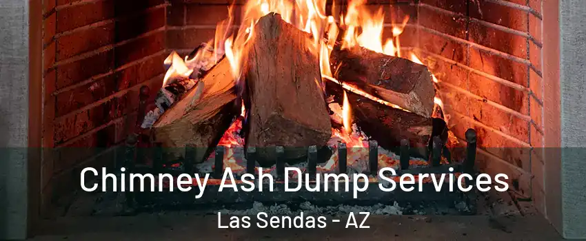 Chimney Ash Dump Services Las Sendas - AZ