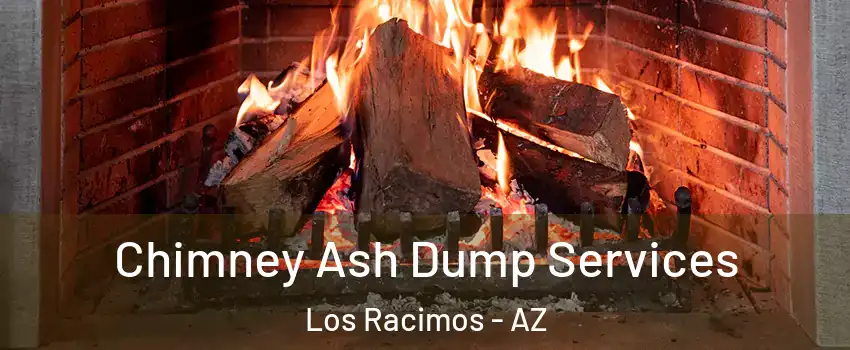 Chimney Ash Dump Services Los Racimos - AZ