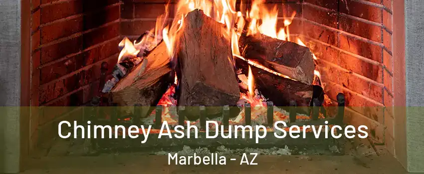 Chimney Ash Dump Services Marbella - AZ