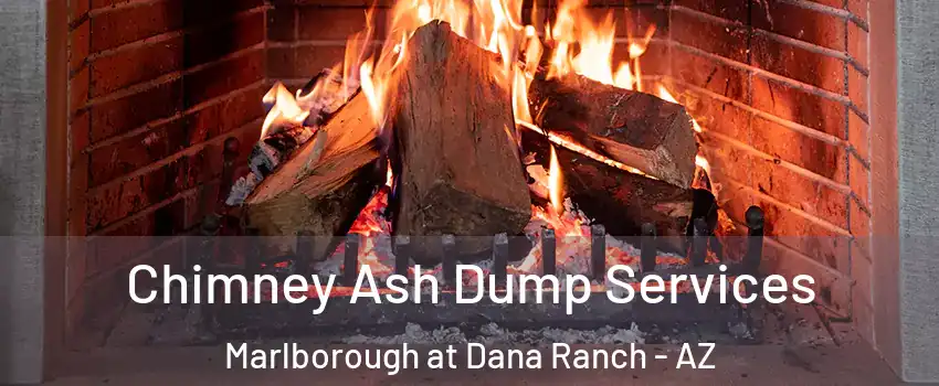 Chimney Ash Dump Services Marlborough at Dana Ranch - AZ