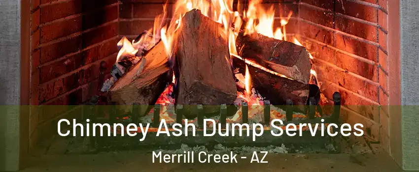 Chimney Ash Dump Services Merrill Creek - AZ