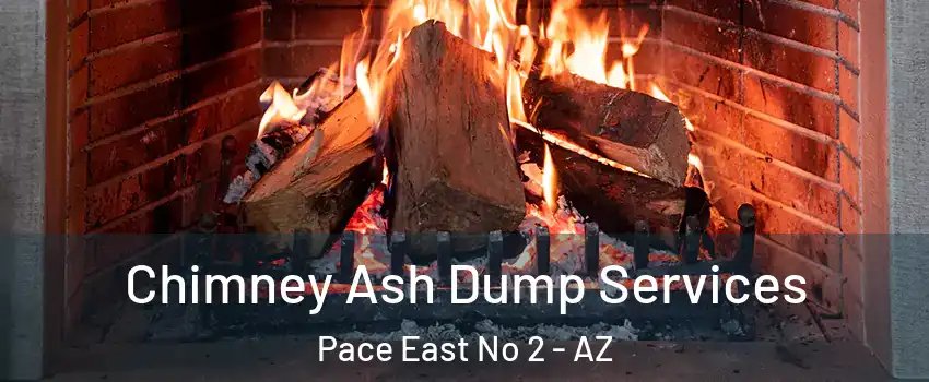Chimney Ash Dump Services Pace East No 2 - AZ