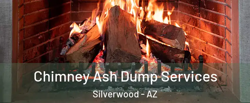 Chimney Ash Dump Services Silverwood - AZ