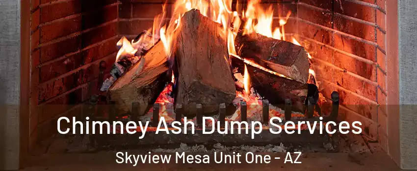 Chimney Ash Dump Services Skyview Mesa Unit One - AZ