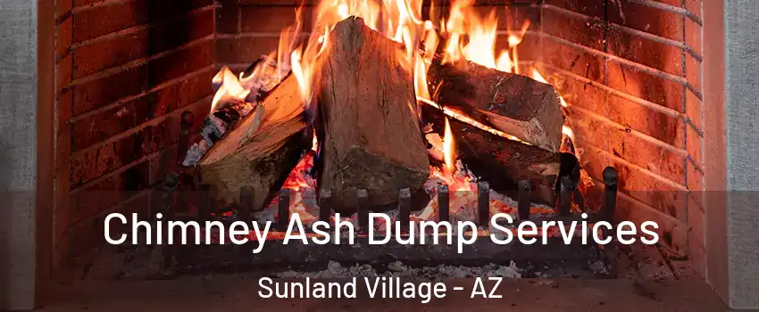 Chimney Ash Dump Services Sunland Village - AZ