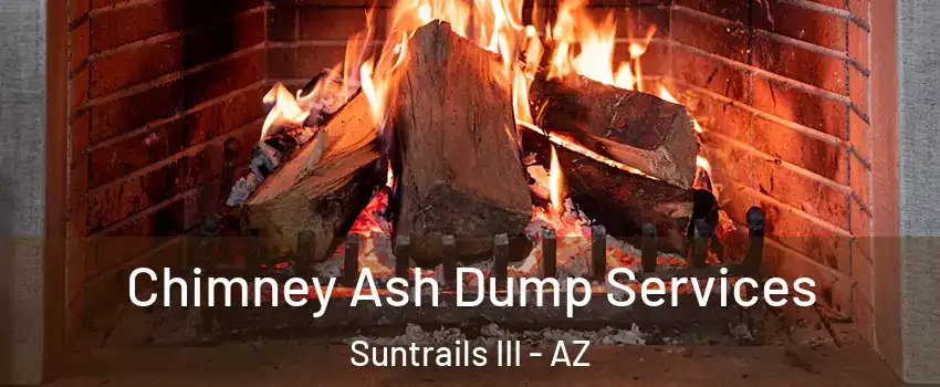 Chimney Ash Dump Services Suntrails III - AZ