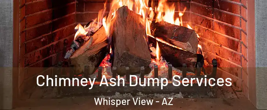 Chimney Ash Dump Services Whisper View - AZ