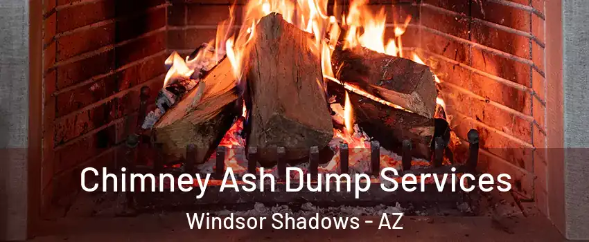 Chimney Ash Dump Services Windsor Shadows - AZ