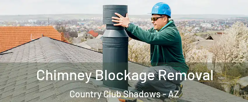 Chimney Blockage Removal Country Club Shadows - AZ